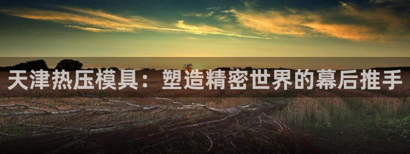 北京易倍思教育科技有限公司：天津热压模具：塑造精密世界的
