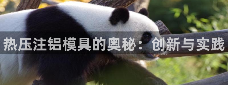 易倍纤减肥反弹不：热压注铝模具的奥秘：创新与实践