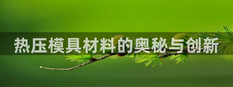 易倍申的价格：热压模具材料的奥秘与创新