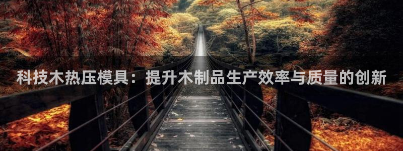 易倍达科技有限公司代运营：科技木热压模具：提升木制品生产