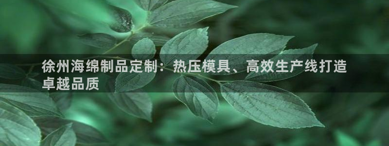 易倍单词app：徐州海绵制品定制：热压模具、高效生产线打
