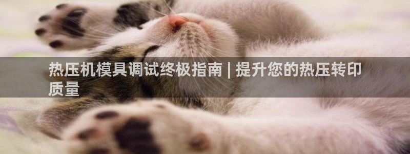 易倍纤瘦身三部曲的价格：热压机模具调试终极指南 | 提升