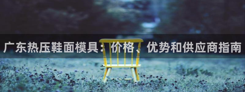 易倍达科技有限公司官网：广东热压鞋面模具：价格、优势和供