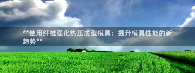 emc32软件安装：**使用纤维强化热压成型模具：提升模