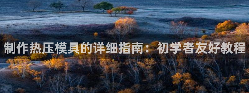 易倍申生产厂家：制作热压模具的详细指南：初学者友好教程