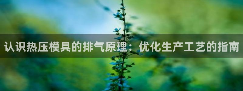 emc易倍是黑台子吗：认识热压模具的排气原理：优化生产工