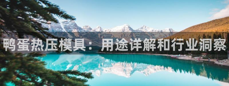 易倍纤奶昔减肥效果怎么样：鸭蛋热压模具：用途详解和行业洞