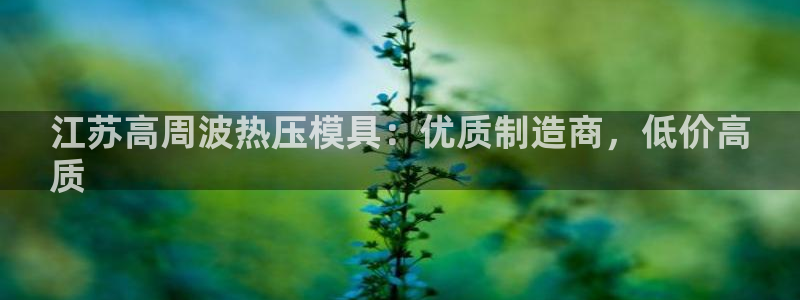 emc软件下载：江苏高周波热压模具：优质制造商，低价高
