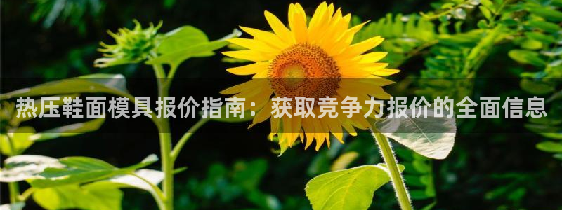 emc app下载：热压鞋面模具报价指南：获取竞争力报价