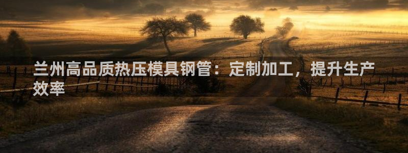 易倍单词登录网站：兰州高品质热压模具钢管：定制加工，提升