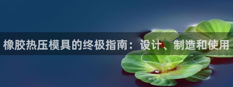 易倍纤官网：橡胶热压模具的终极指南：设计、制造和使用