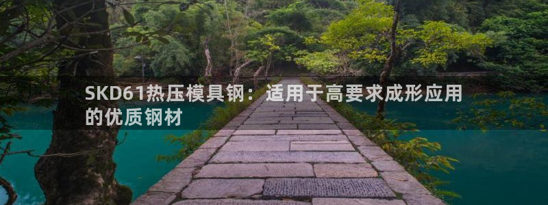 易倍单词官方网站：SKD61热压模具钢：适用于高要求成形
