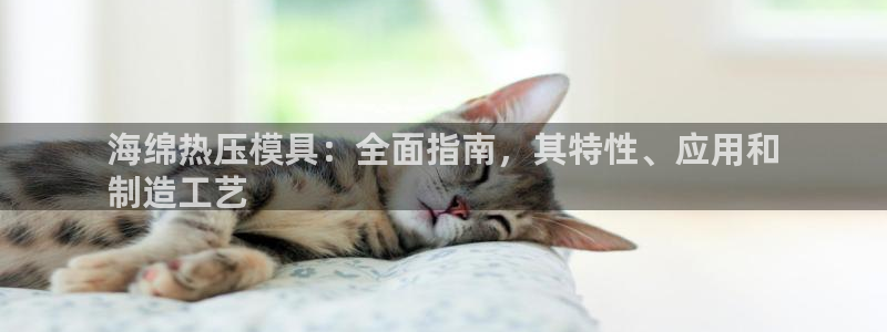 易倍达科技有限公司代运营：海绵热压模具：全面指南，其特性