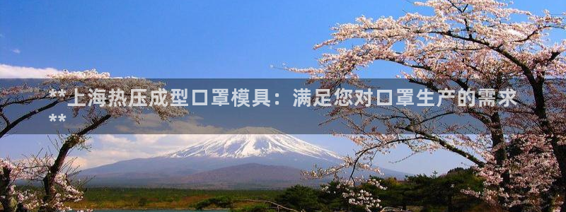易倍网络技术有限公司招聘：**上海热压成型口罩模具：满足