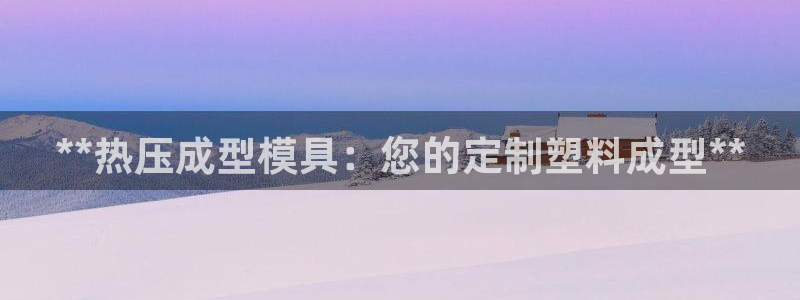emc易倍网页版：**热压成型模具：您的定制塑料成型**