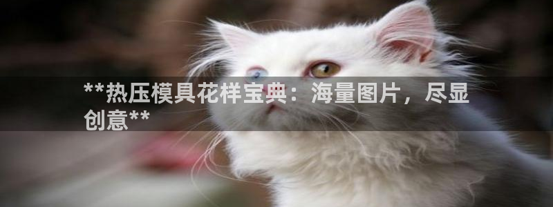 EMC易倍让身份验证：**热压模具花样宝典：海量图片，尽