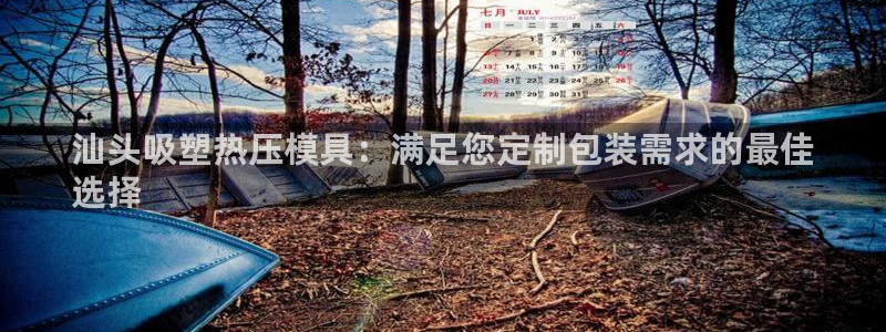 emc易倍全站官网：汕头吸塑热压模具：满足您定制包装需求