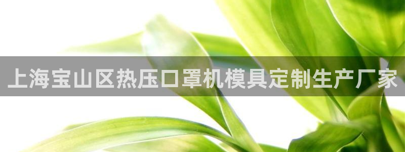 易倍单词app下载：上海宝山区热压口罩机模具定制生产厂家