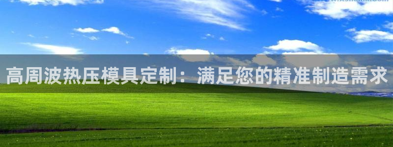 易倍单词官方网站：高周波热压模具定制：满足您的精准制造需