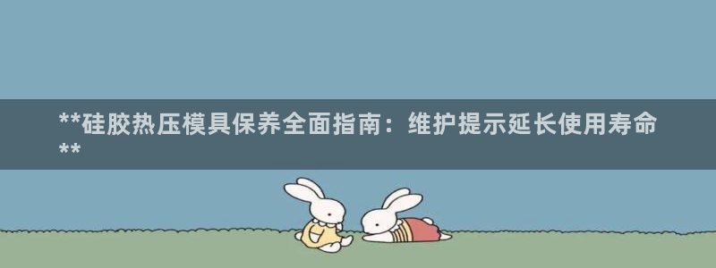 易倍申多少钱一盒：**硅胶热压模具保养全面指南：维护提示