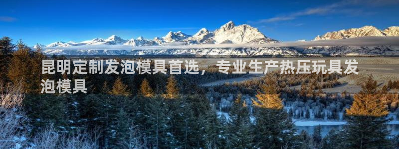 emc全站app下载：昆明定制发泡模具首选，专业生产热压