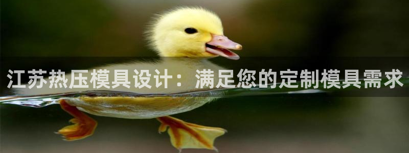 emc32软件使用说明：江苏热压模具设计：满足您的定制模
