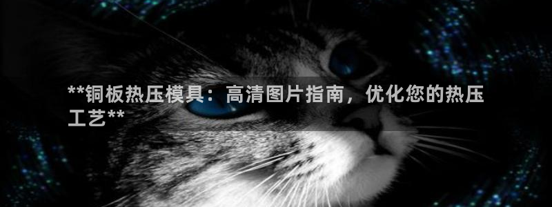 易倍申片的功效与作用：**铜板热压模具：高清图片指南，优