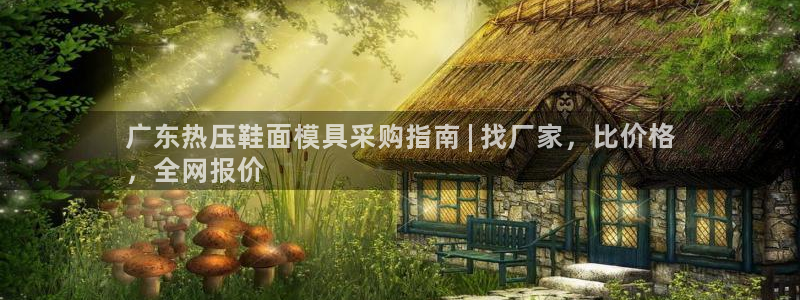 易倍单词官方网站下载安卓：广东热压鞋面模具采购指南 | 