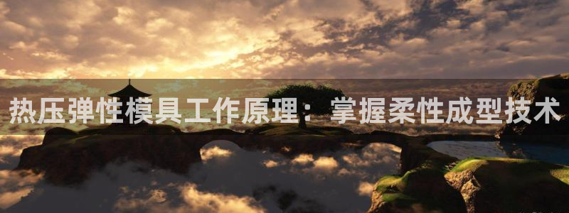 易倍申价格：热压弹性模具工作原理：掌握柔性成型技术