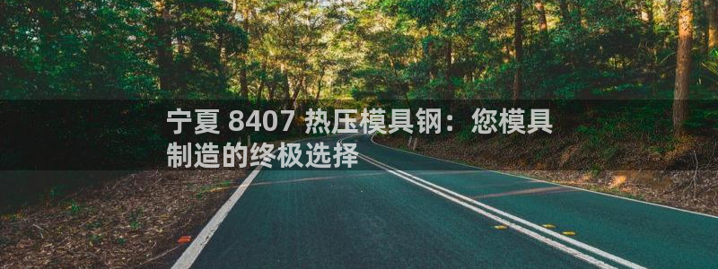 emc易倍网站是多少：宁夏 8407 热压模具钢：您模具