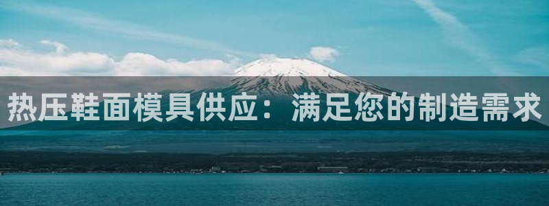 易倍单词app官网：热压鞋面模具供应：满足您的制造需求
