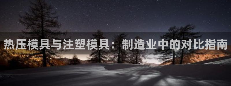 易倍申片能长期服用吗：热压模具与注塑模具：制造业中的对比