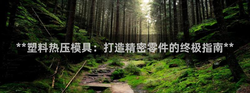杭州易倍达科技有限公司怎么样：**塑料热压模具：打造精密
