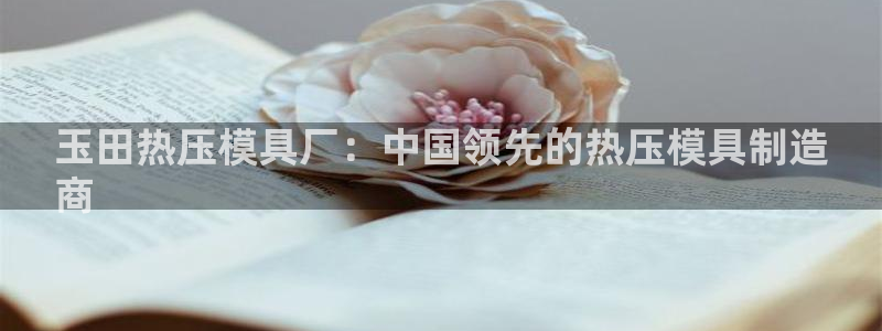 易倍纤代餐奶昔减肥效果怎么样：玉田热压模具厂：中国领先的