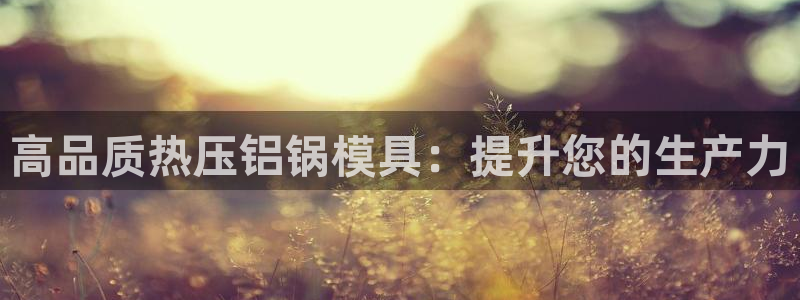 emc倍频干扰：高品质热压铝锅模具：提升您的生产力