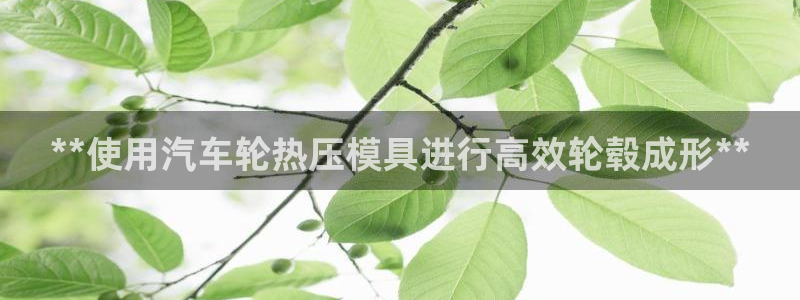 emc易倍登录：**使用汽车轮热压模具进行高效轮毂成形*