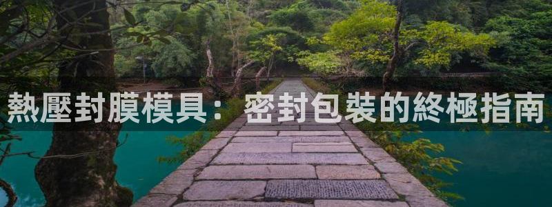 易倍单词平台：熱壓封膜模具：密封包裝的終極指南
