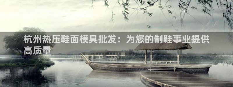 易倍申效果怎么样：杭州热压鞋面模具批发：为您的制鞋事业提