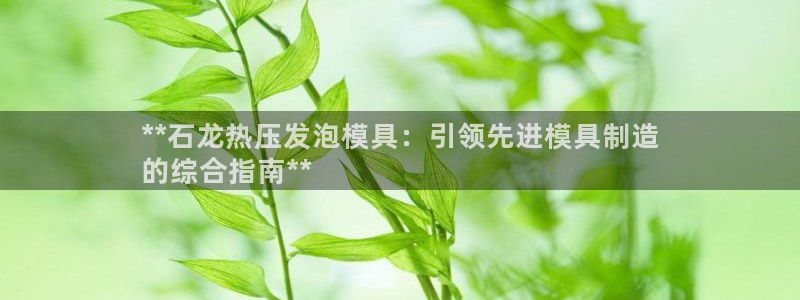 易倍达科技有限公司怎么样