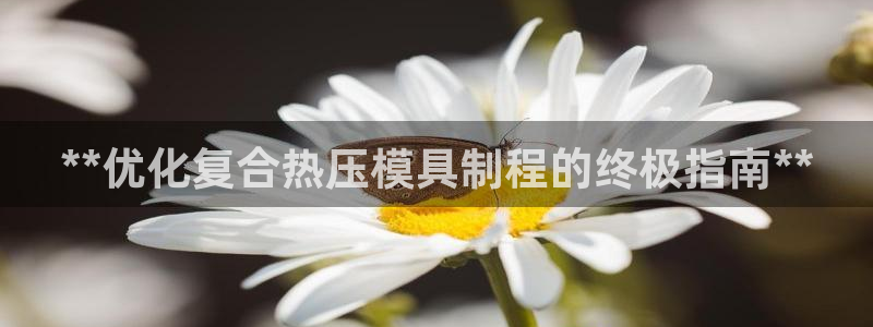 易倍单词官方网站登录：**优化复合热压模具制程的终极指南