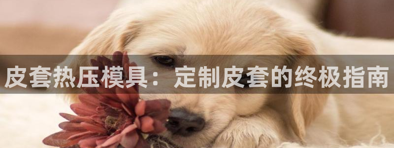 emc低频：皮套热压模具：定制皮套的终极指南
