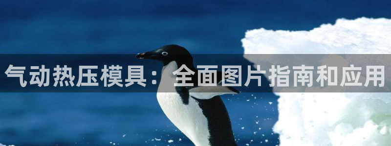 易倍纤代餐奶昔减肥效果怎么样：气动热压模具：全面图片指南
