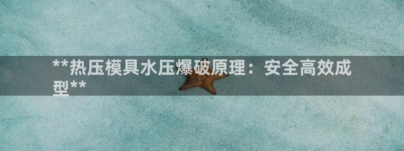 emc服务器是什么：**热压模具水压爆破原理：安全高效成