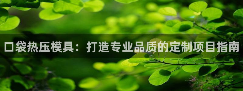 emc 倍频：口袋热压模具：打造专业品质的定制项目指南