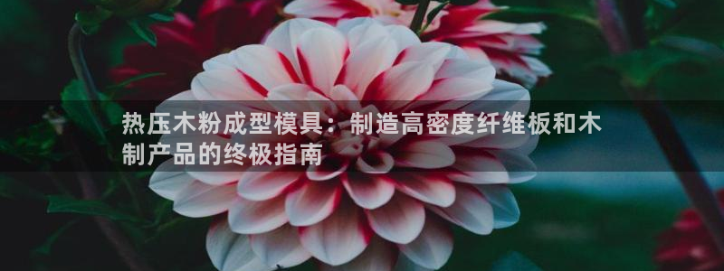 emc mcu：热压木粉成型模具：制造高密度纤维板和木

