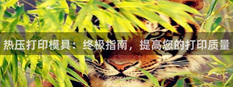 易倍网页版登录：热压打印模具：终极指南，提高您的打印质量