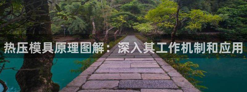 杭州易倍达上班怎么样：热压模具原理图解：深入其工作机制和