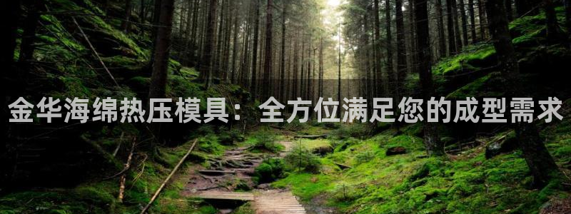 易倍emc网址网页版本登陆：金华海绵热压模具：全方位满足