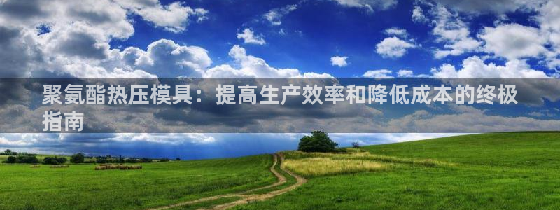 易倍申每盒价格是多少?：聚氨酯热压模具：提高生产效率和降