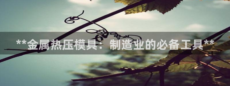 易倍网页版登录：**金属热压模具：制造业的必备工具**
